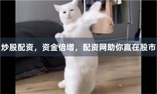 炒股配资，资金倍增，配资网助你赢在股市